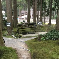 Medium_1 063